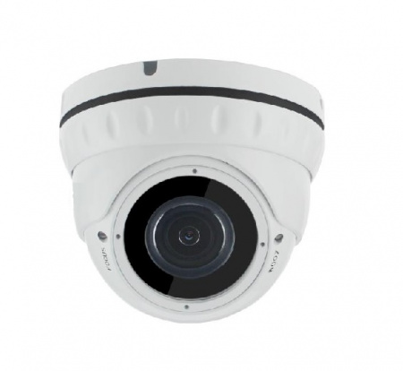 Видеокамера AltCam DDMV21IR