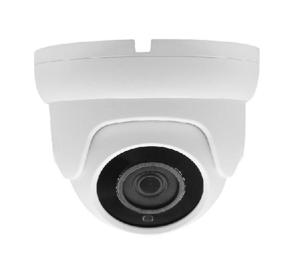 Видеокамера AltCam DDMF51IR